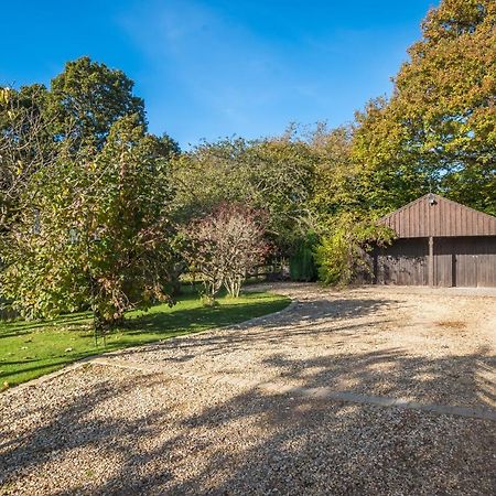 Thatched Cottage Brockenhurst Exteriér fotografie